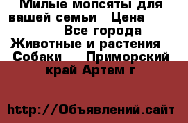 Милые мопсяты для вашей семьи › Цена ­ 20 000 - Все города Животные и растения » Собаки   . Приморский край,Артем г.